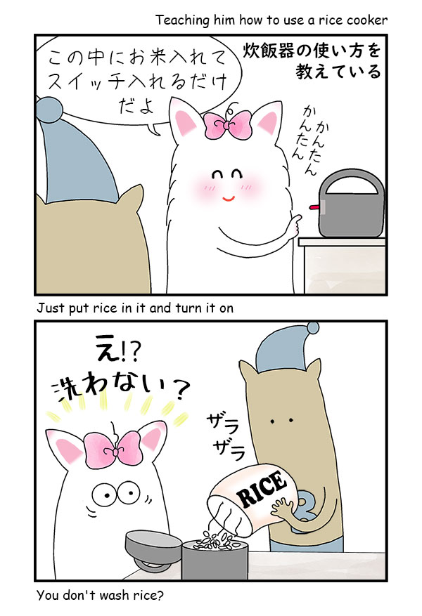 Rice-Cooker