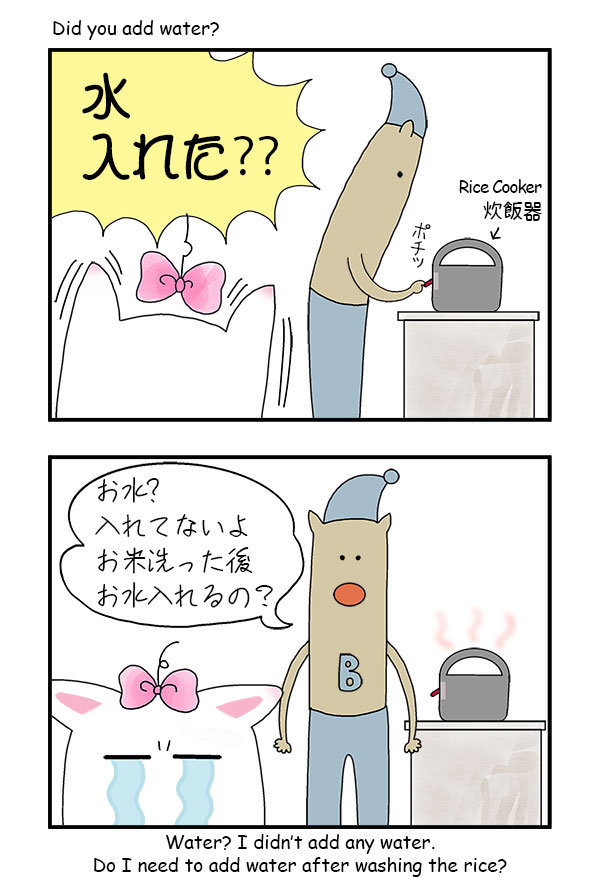 Rice-Cooker