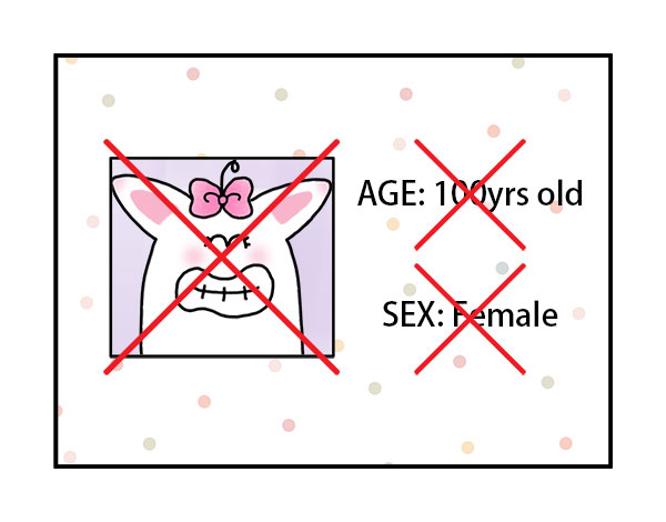 No Pic Age Sex