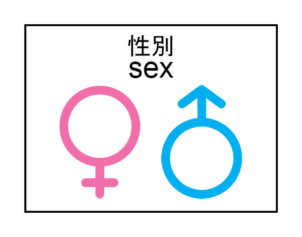 Gender